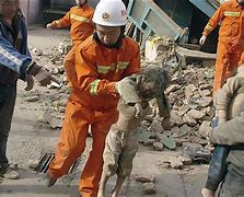 Image result for Earthquake Bodies