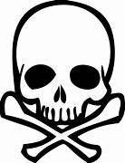 Image result for Cool Skull Pics