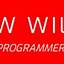 Image result for Computer Programmer Resume