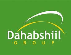 Image result for Dahabshiil