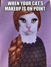 Image result for Girl Point at Cat Meme