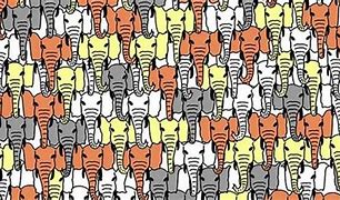 Image result for How Many Animals Can You Find