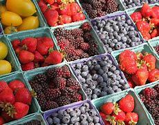 Image result for Sell Fruit