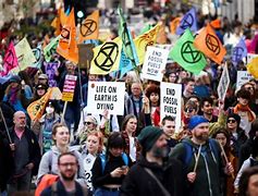 Image result for Protest Flags