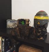 Image result for Pip-Boy 4000