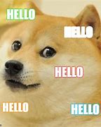 Image result for Hello Doge Dog Meme