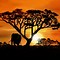 Image result for African Background for Pictures
