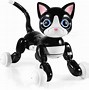 Image result for Zoomer Robot Cat
