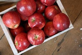 Image result for Red Delicious Apple 600 Jpg