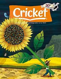 Image result for Cricket Magszine