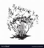 Image result for Bush Drawing Black and White