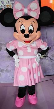 Image result for Minnie Mouse Mascot Costume