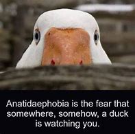 Image result for Phobia Memes