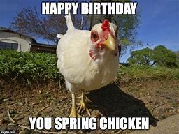Image result for Happy Birthday Chicken Meme