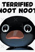 Image result for Terrified Noot Noot