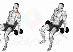 Image result for Incline Dumbbell Shrug