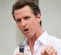 Image result for Gavin Newsom not running