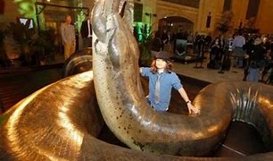 Image result for World's Biggest Creature