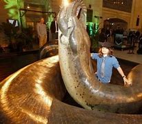 Image result for Biggest Snake in the World IRL