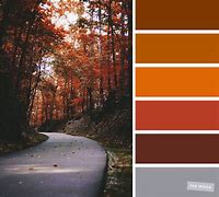 Image result for Autumn Color Palette Orange