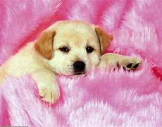 Image result for Puppy Art Wallpaper