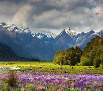 Image result for Lehigh Valley New Zealand