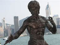 Image result for Bruce Lee Figures