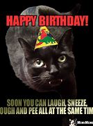 Image result for Dark Sarcastic Happy Birthday Memes