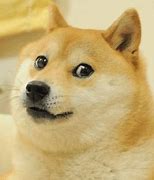 Image result for Doge Meme Animated