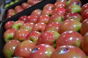 Image result for Pink Lady Apple Scalding