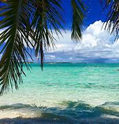 Image result for Things to Do in Exuma Bahamas