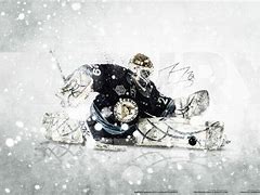 Image result for Hockey Goalie Background