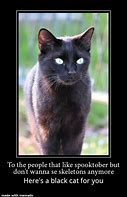 Image result for Black Cat Food Meme