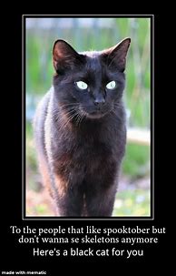 Image result for Distorted Black Cat Meme