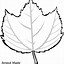 Image result for Leaf Trace
