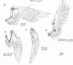 Image result for Folded Wings Human