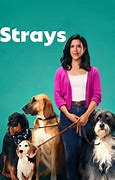 Image result for Strays Series