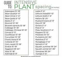 Image result for Intensive Gardening Plant Spacing Chart