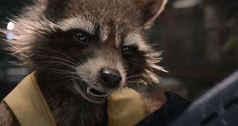 Image result for Guardians of the Galaxy Rocket Raccoon Stealing