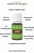 Image result for aceitiso