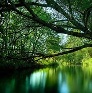 Image result for iPad Pro Wallpaper HD Nature
