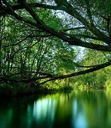 Image result for Ipad Backgrounds Nature