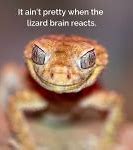 Image result for Lizard Brain Meme