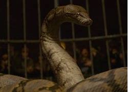Image result for Na Gini the Snake