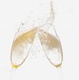 Image result for Champagne Soft Background