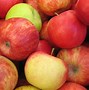 Image result for Different Colors of Apple's