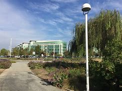 Image result for Redwood City, California