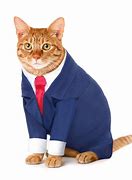 Image result for Business Cat Template