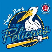 Image result for Pelicans Logo as Glow Sign