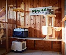 Image result for Chattery Cart